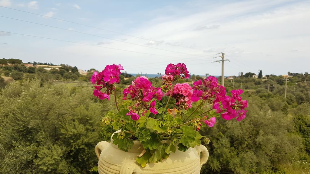 B&B Casale Siciliano Di Miryam Tiralongo アヴォラ エクステリア 写真